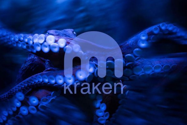 Кракен шоп krakenwebs org