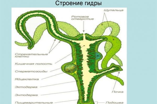 Ссылка на магазин кракен