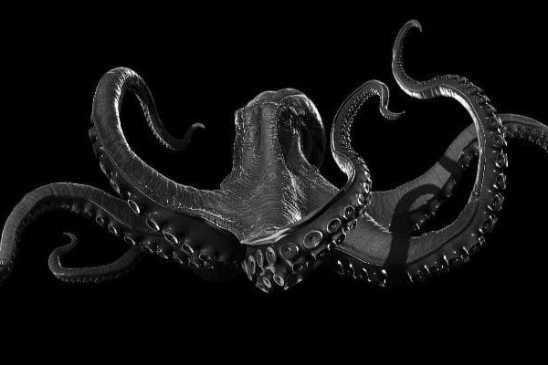 Kraken ссылка сайт kraken clear com
