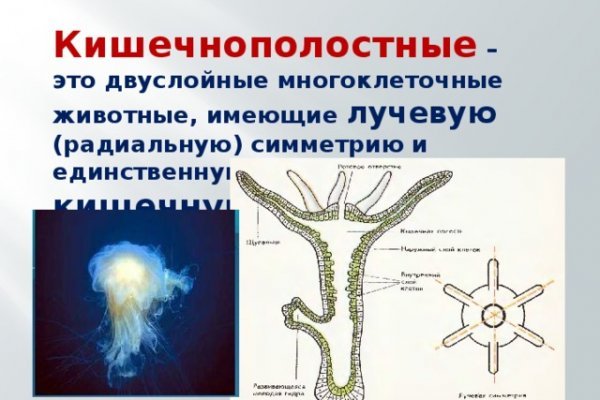 Что продают на кракене