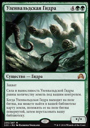 Зеркала тор